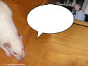 E-card