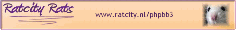 Ratcity Rats