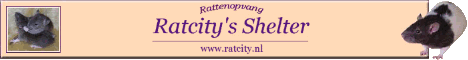 Ratcity