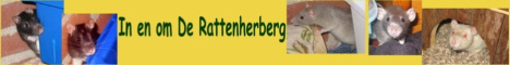 Rattenherberg