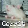 Gerrit