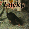 Lucky