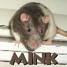 Mink