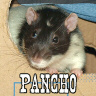 Pancho