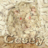 Casey