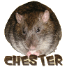 Chester