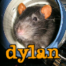 Dylan