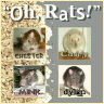 Oh, Rats!