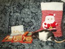 Dino: "Hey, what's that?! Christmas cards, cool!" Picture