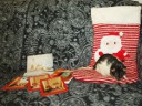 Dino: "Oh, bite me! I'm gonna sniff that stocking until it shrinks!" Picture