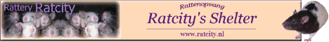 Ratcity