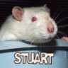 Stuart