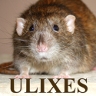 Ulixes