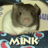 Mink