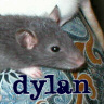 Dylan