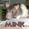 Mink