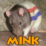 Mink