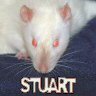 Stuart