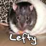 Lefty