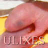 Ulixes