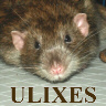 Ulixes