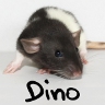 Dino