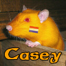 Casey