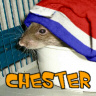 Chester